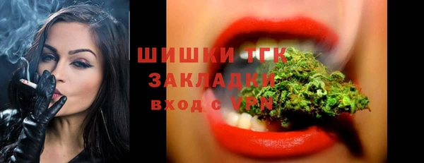 винт Алексин