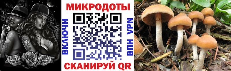 Псилоцибиновые грибы Magic Shrooms  Купить  Магнитогорск 