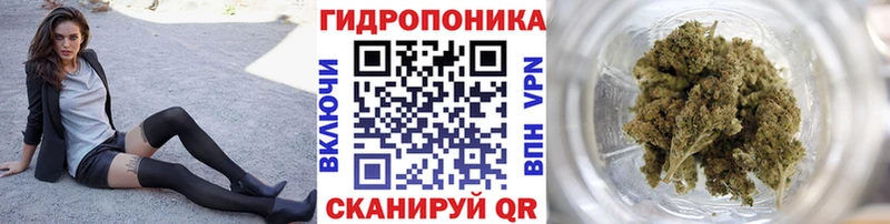 Купить где  Магнитогорск  Бошки марихуана ГИДРОПОН 